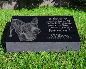 You Were My Favorite Hello and Hardest Goodbye Personalized Dog Puppy Portrait Memorial Gift | Loss of Pet | Cat Kitten Remembrance Tribute