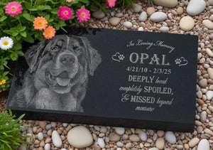 Pet Sympathy Gift: Loss of Dog Gift | Loss of Pet Gift | Loss of Animal | Pet Passing | Pet Memorial Gift | Loss of Cat | Dog Memory Gift