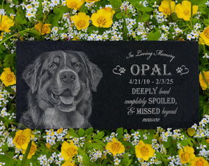 Pet Sympathy Gift: Loss of Dog Gift | Loss of Pet Gift | Loss of Animal | Pet Passing | Pet Memorial Gift | Loss of Cat | Dog Memory Gift