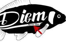 GRADUATION CARPE DIEM Carp College Dorm Room Decor Gift Funny Pillowcase Then Text Mom, Call Mom, Graduation, Gift Freshman Back to School