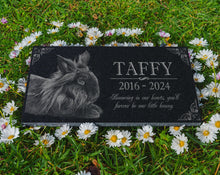 Rabbit Burial Stone | Pet Headstone Photo | Engraved Granite Outdoor Memorial Plaque for Rabbits | Rabbit Memory Stone | Bunny Lovers Gift