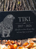 Photo Pet Memorial Gift for Bird Lovers: Parakeet & African Grey Parrot Parakeet Cockatiel Lovebird Memorial Stone | Pet Loss Burial Marker