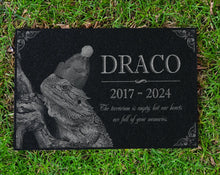 Custom Reptile Memorial Stone | Personalized Photo Engraving for Lizards, Snakes, Turtles | Outdoor Garden or Indoor Display Tribute