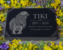 Photo Pet Memorial Gift for Bird Lovers: Parakeet & African Grey Parrot Parakeet Cockatiel Lovebird Memorial Stone | Pet Loss Burial Marker