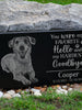 Personalized Photo Engraved Memorial Stone: Dog Cat Puppy Kitten | If Love Could Have Saved You Would Have Lived Forever | Granite Plaque