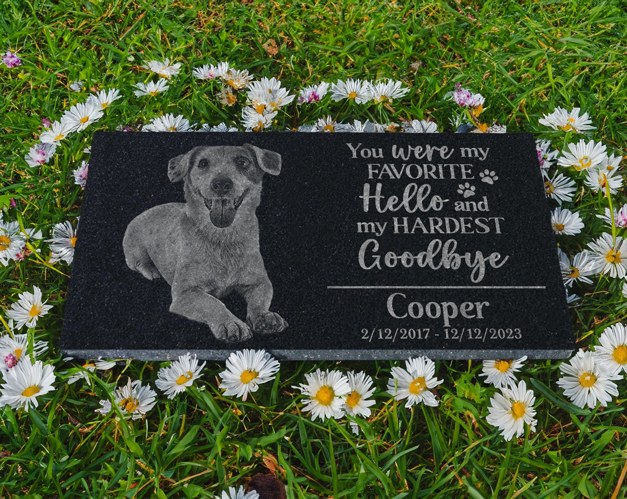 You Were My Favorite Hello and Hardest Goodbye Personalized Dog Puppy Portrait Memorial Gift | Loss of Pet | Cat Kitten Remembrance Tribute