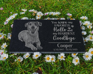 You Were My Favorite Hello and Hardest Goodbye Personalized Dog Puppy Portrait Memorial Gift | Loss of Pet | Cat Kitten Remembrance Tribute