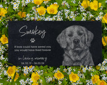 Engraved Black Granite Garden Stone with Photos - Gifts for Those Who Lost Pets, Perfect for Dog Lovers, Cat Owners, and Pet Enthusiasts