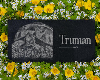 Custom Turtle Memorial Marker | Tortoise Burial Marker Plaque | Pet Grave Markers Outdoor | Reptile Remembrance Gift | Photo Keepsake