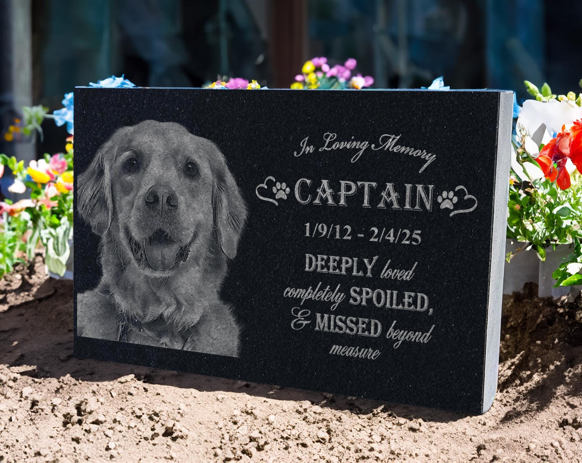 Pet Sympathy Gift: Loss of Dog Gift | Loss of Pet Gift | Loss of Animal | Pet Passing | Pet Memorial Gift | Loss of Cat | Dog Memory Gift