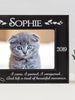 PET GIFTS I came, I purred, I conquered.. | Picture Frame