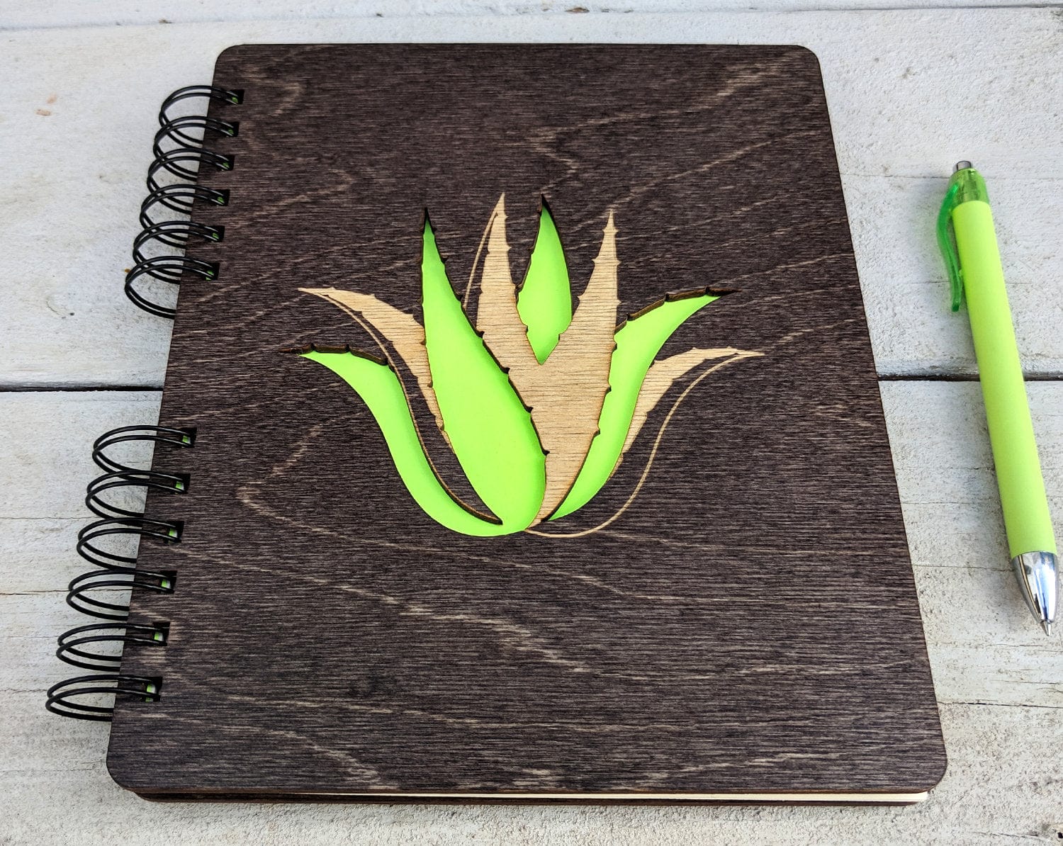 Succulent Plant | Journal