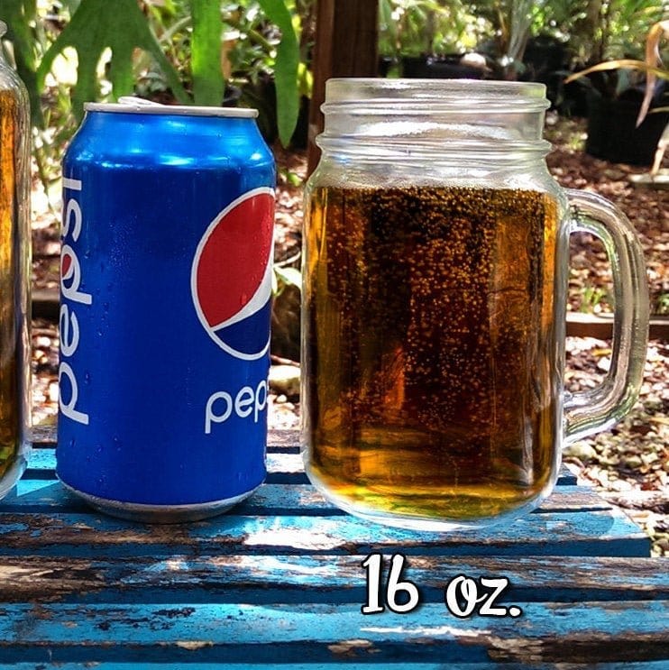 WEDDINGS Heraldic Initial  SINGLE Birthday Gift Idea Mason Jars with Handle Mug Drinking Glasses for Mom Best Friend Her Sister Couple Party Favor